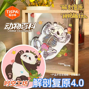 Tispa新奇贴纸拼图动物人体构造解剖益智解压玩具儿童学生成人玩