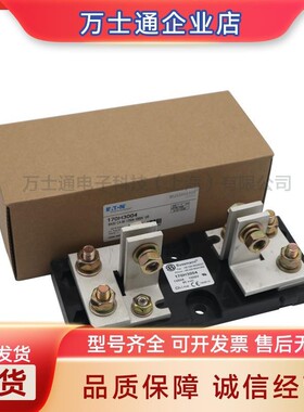 170H3003 170H3004 170H3005 170H3006 170H1007 170H1013熔断器