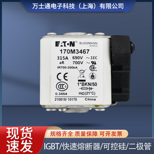 3469 3468 3470 3471 3473 现货全新熔断器170M3466 3472 3467