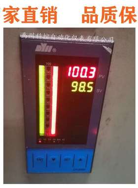 东辉DY21FR020P DY21FR0604M DY29FR061 DY29D1108 数显控制仪