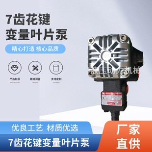 双联齿轮泵 高压叶片泵 直销齿花键变量叶片泵 液压叶片泵齿轮泵