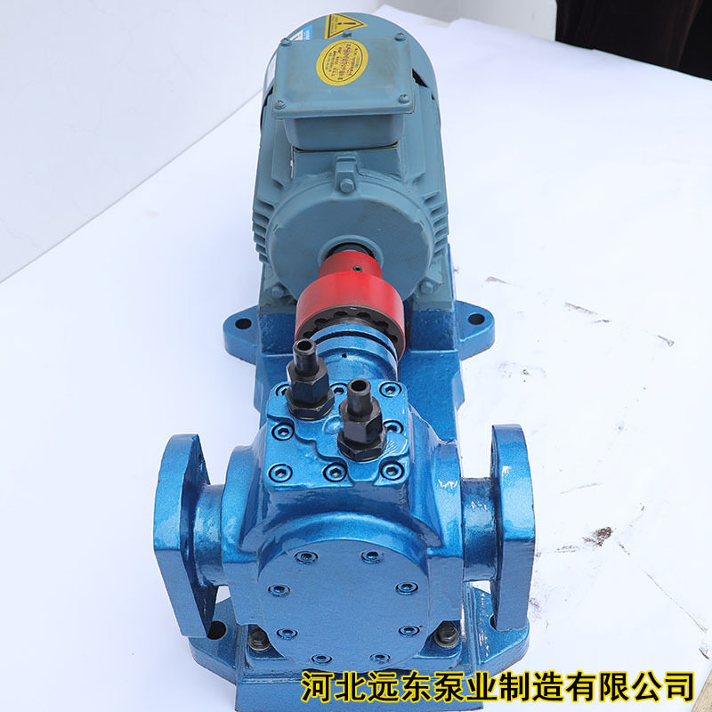 RCB-3(RCB3)不锈钢齿轮泵普通整机