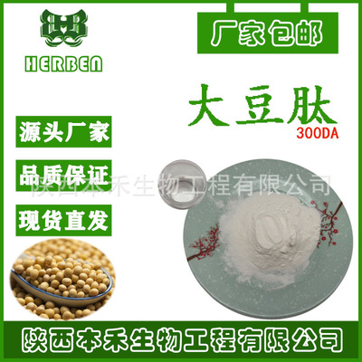 SC大豆肽98%300DA大豆小分子肽大豆低聚肽食品级本禾供应速溶ZGC