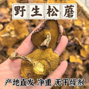 松蘑东北大兴安岭野生松蘑菇干货500g松菇蛾子粘团子蘑菇新鲜农家