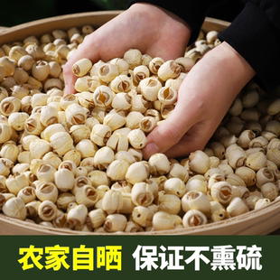莲子干货去芯湘莲白莲食用特产级煮粥 湘潭米新莲2024净重 包邮
