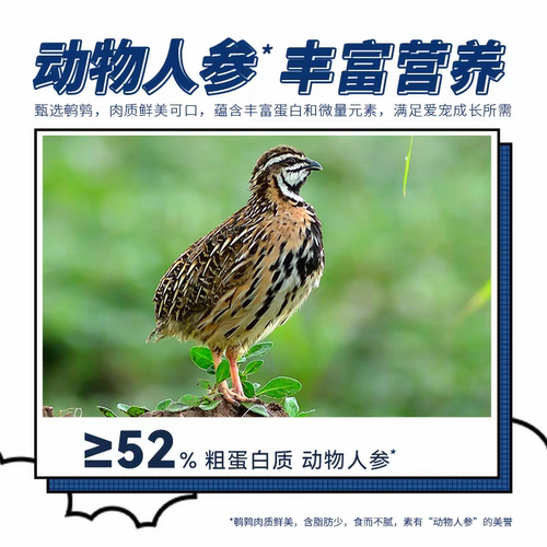 宠物悠猫冻干 比乐零食冻干鹌鹑30g*3