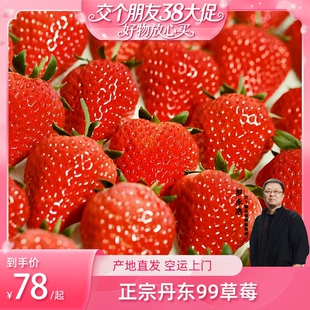 【交个朋友38付定 1日0点付尾款】丹东草莓新鲜水果红颜99草莓