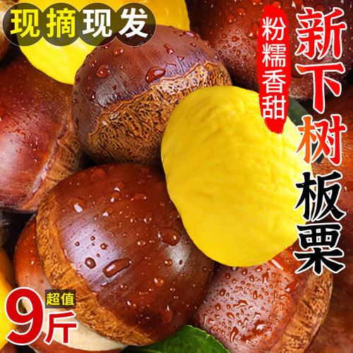 【天猫精选】2025新下树板栗