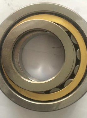 NJ322M NU2322EM SL185021PP SL185022满装滚子轴承