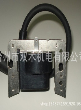 GCV160 高压包 GCV160磁电机 GCV135 GC160 GCV160 GCV190 动力