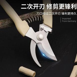 剪枝果树修枝剪刀园艺园林修花枝剪家用强力剪子神器花剪剪枝剪D2