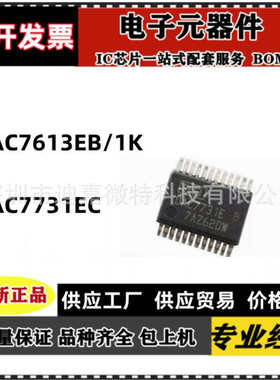 DAC7731EB  DAC7613E/EB/1K DAC7731E/1K/EB/EC 7731  SSOP-24