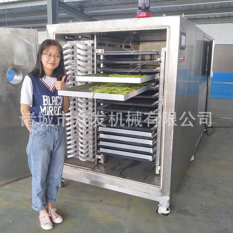 众干发械虫子饲鱼机料冻干机白果仁真10c空燥设备青葱真空冻干机