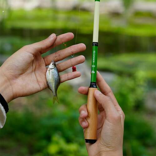 小物钓新手套装1.8米便携溪流竿迷你好收纳配件齐全到手即用