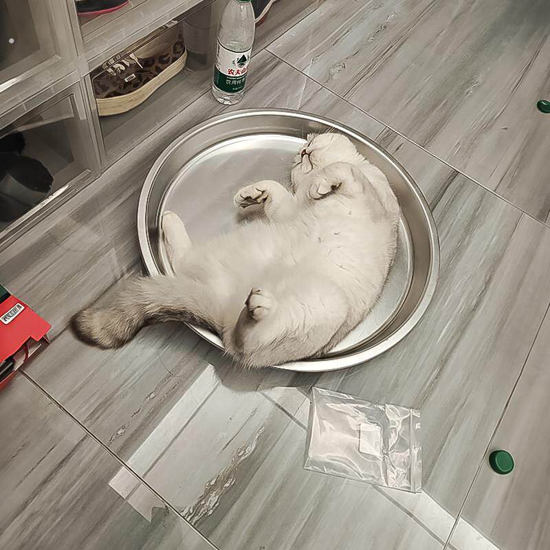 猫咪夏季铝盆猫窝睡觉降温散热神器宠物冰凉盆子子小型犬解暑睡盆
