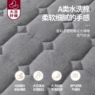 四季 加厚夹棉床笠2024新款 通用A类榻榻米床罩保护套秋冬加高隔脏