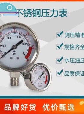 不锈钢耐震压力表Y60充油径向立式轴向面板式压力检测表舜寰SHLLJ