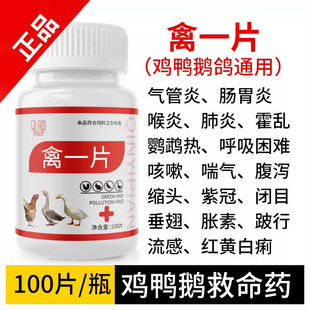 禽一片养鸡专用鸡鸭鹅急救片呼吸道感冒拉稀发烧呼噜流感精神不振