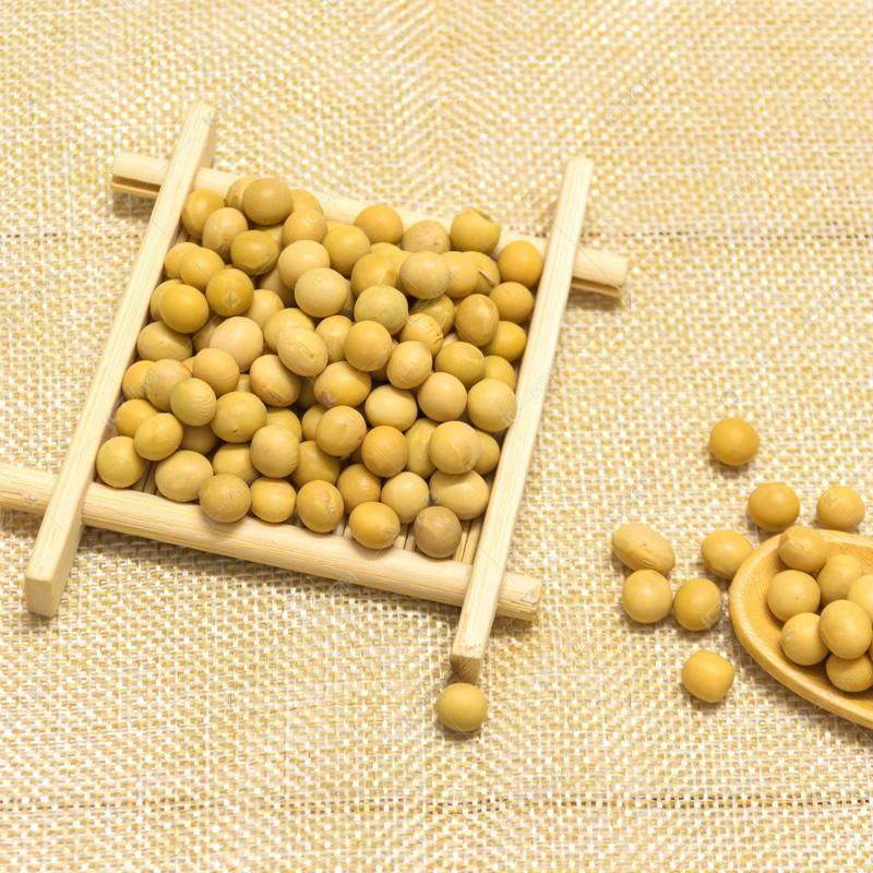 真空微波烘干设备 宠物零食烘干 五谷干燥设备 肉类脱脂熟化,机械设备,干燥机/干燥箱/烘干机,淘宝优惠券,粉丝福利购,淘宝优惠卷