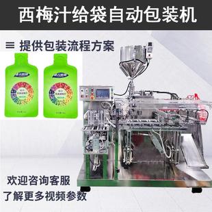 双列水平给袋果汁包装机 酸枣仁浓缩液灌装机 西梅汁包装机定制
