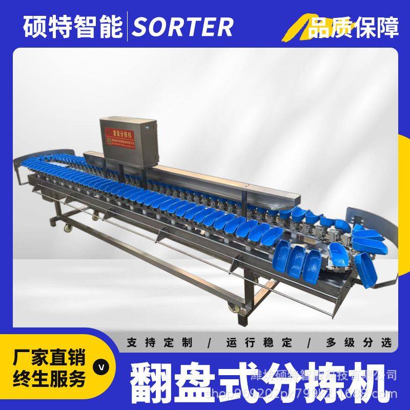 水产海鲜料盒分拣机 小型重量分选机 海参自动分级鲍鱼克重挑选机,清洗/食品/商业设备,选果机/分选机,淘宝优惠券,粉丝福利购,淘宝优惠卷