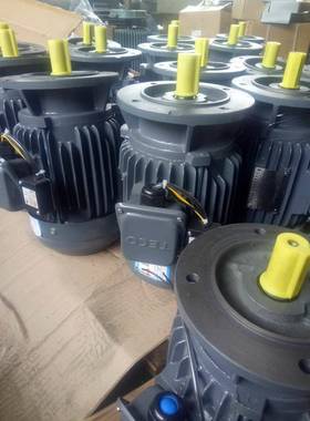 正品东元电动机东元刹车电机TVGH