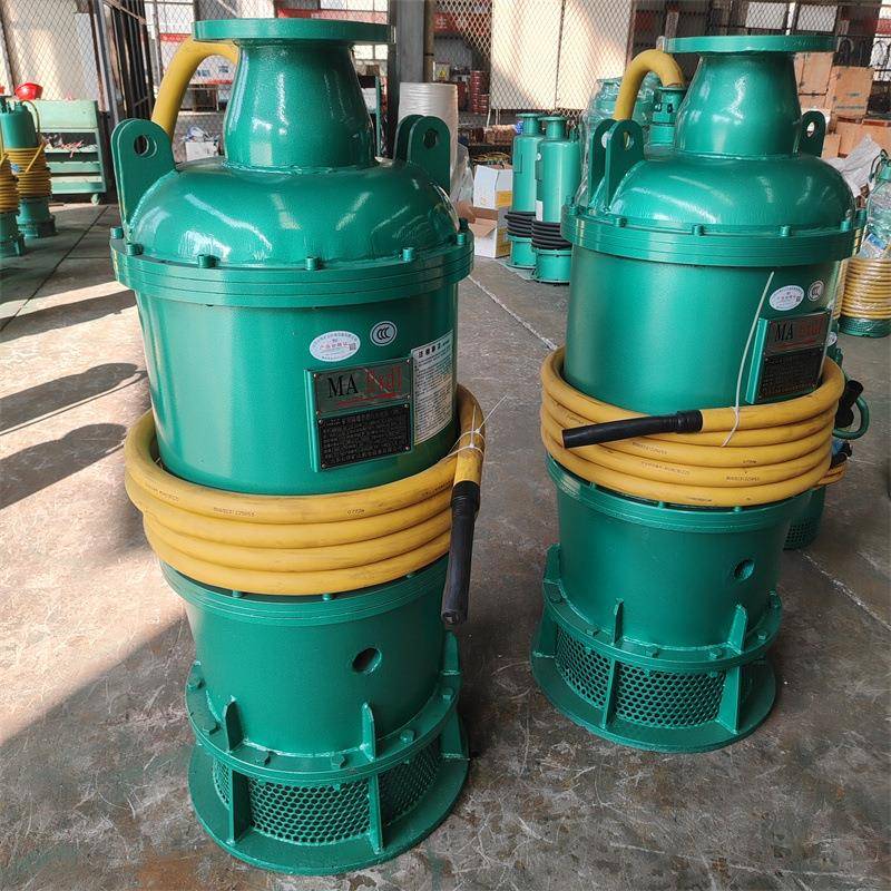 BQS矿用隔爆型排沙潜水电泵660v BQS100-450/4-280kw 防爆潜污泵