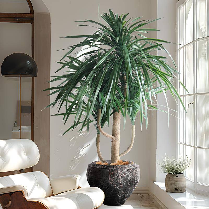 软胶龙血树仿真绿植客厅商场酒店橱窗装饰仿生盆栽大型落地假植物