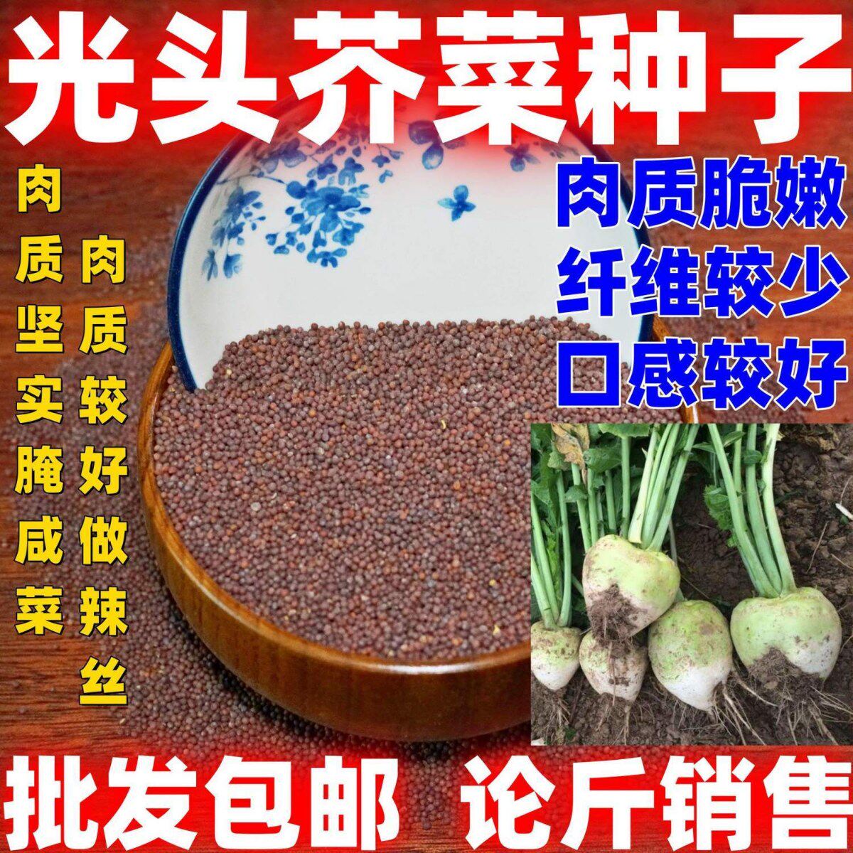 光头芥菜种籽按斤销售大疙瘩辣菜盘菜咸菜大头菜种子秋冬蔬菜种子