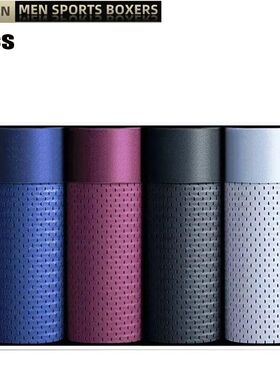 4Pcs/Lot Ice Silk Men's Boxer Pantie Underpant plus Size 4XL