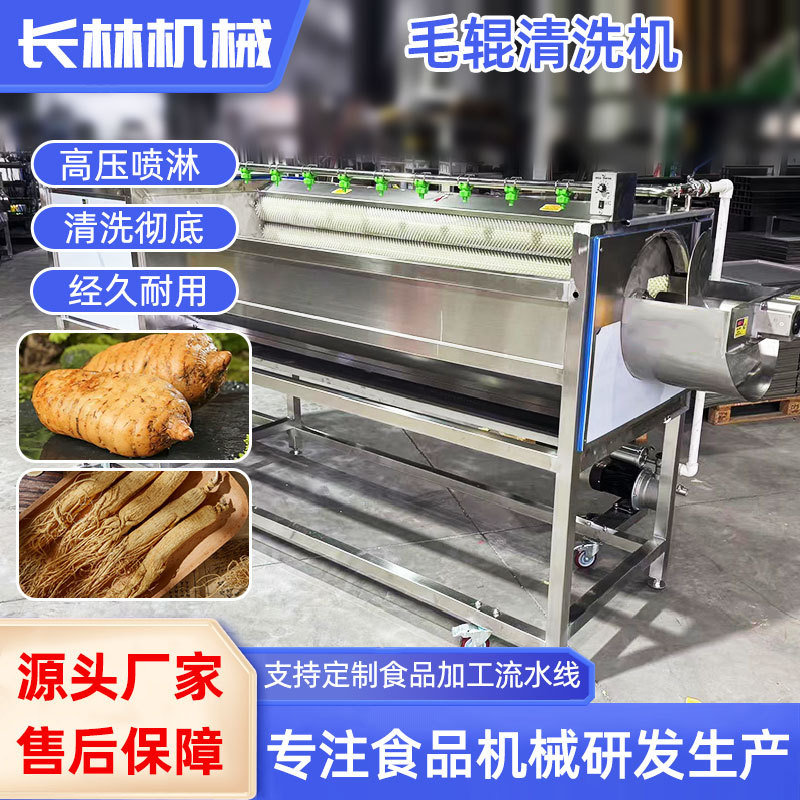 商用不锈钢中草毛刷清洗机 人参清洗设备 天麻去泥毛辊清洗机