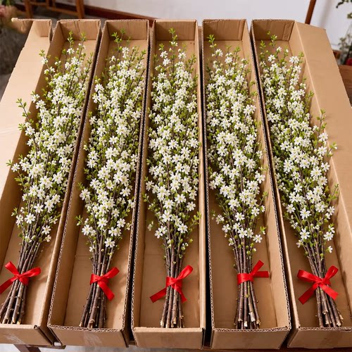 雪柳鲜切带花芽水培室内盆栽
