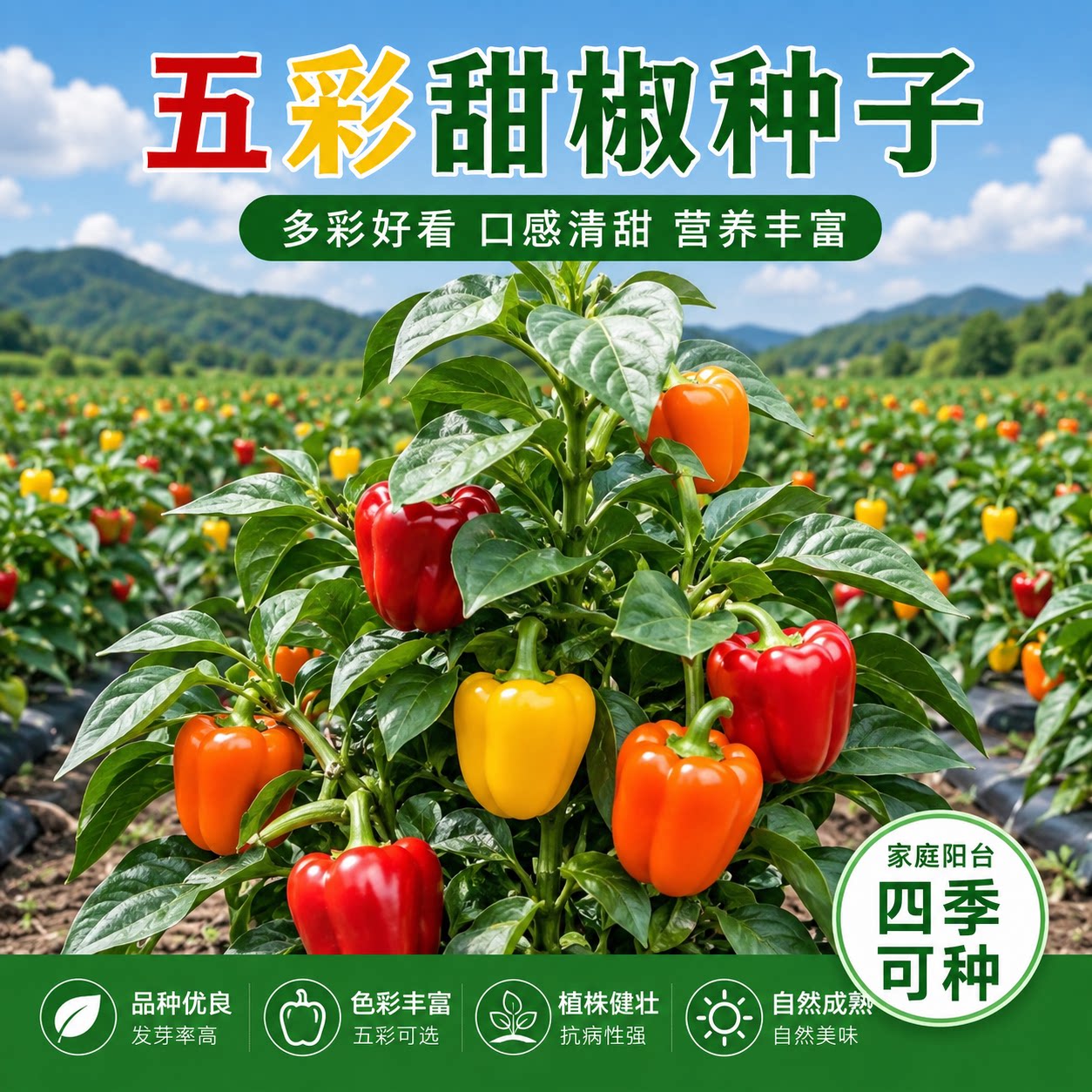 五彩甜椒种子大果高产不辣盆栽