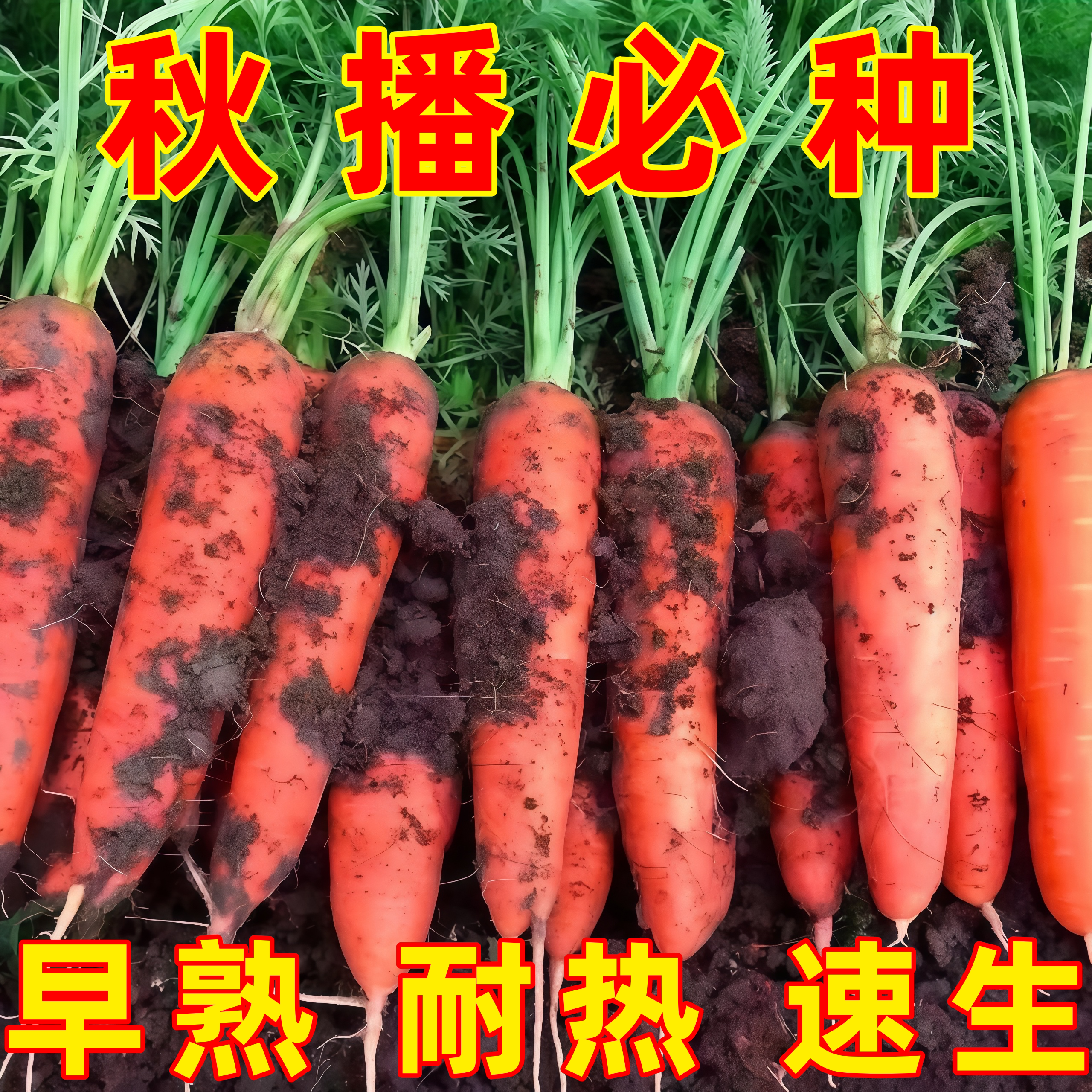 九寸三红胡萝卜种子脆甜夏秋播