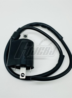 供应马杰斯特250林海LH250 YP250 ATV300 高压包 点火线圈