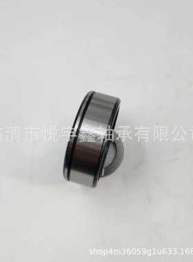 SL024922 SL024924 SL024926 SL024928  装满圆柱滚子轴承