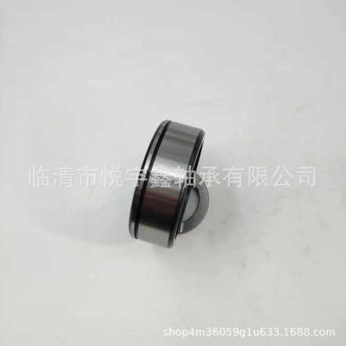 SL024922 SL024924 SL024926 SL024928  装满圆柱滚子轴承