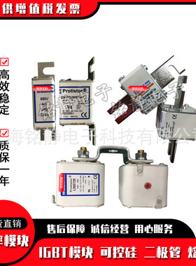 全新现货PC33UD69V1600TF    Z300586熔断器