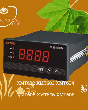 功能齐全XMT604智能控制仪表XMT605 XMT606 XMT608温控压力控制