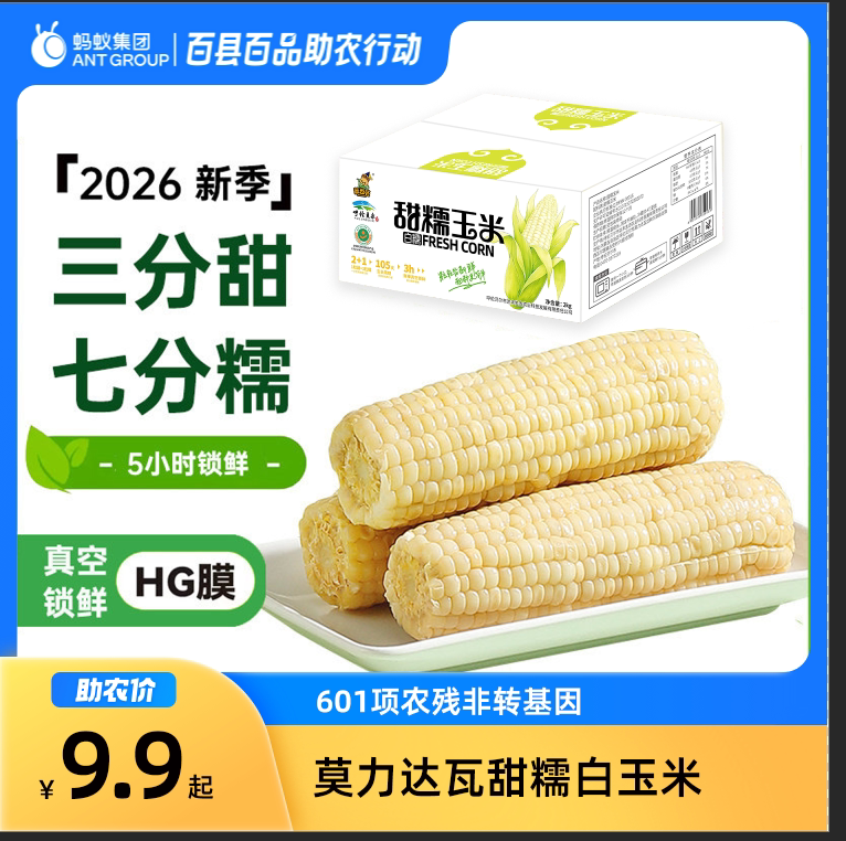 莫力达瓦旗非转基因白糯玉米