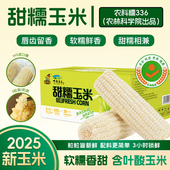 农科院甜糯玉米 非转基因真空包装 鲜食东北软糯白甜糯黏玉米粗粮