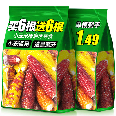 仓鼠零食小玉米磨牙棒造景生活