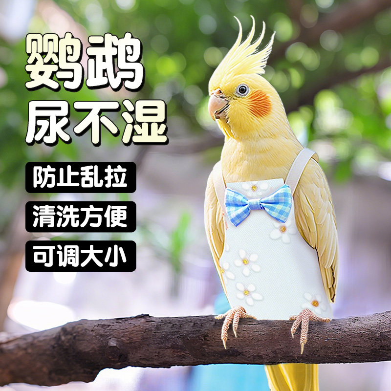 鹦鹉尿不湿宠物专用飞行服虎皮玄凤和尚可爱卡通外出鸟用屎兜尿裤