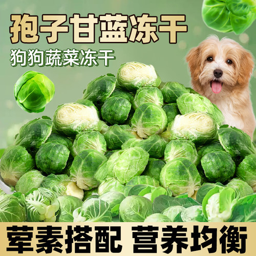 狗冻干零食孢子甘蓝训练奖励