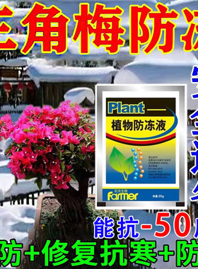 三角梅开花防冻液剂冬天寒冷花卉植物冻伤抗寒修复萎蔫发黑防冻罩