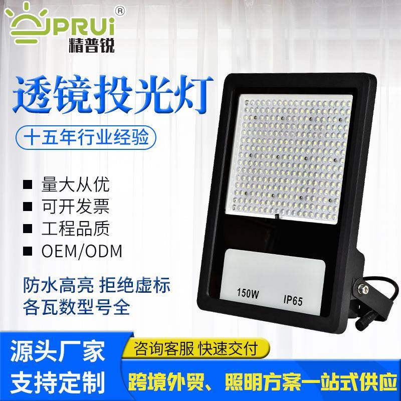 透镜款投光灯跨境LED草坪景观灯具道路50W100W150W200W高光路灯