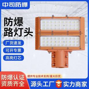 LED防爆路灯头加油站化工厂100W150W防水太阳能模组防爆灯