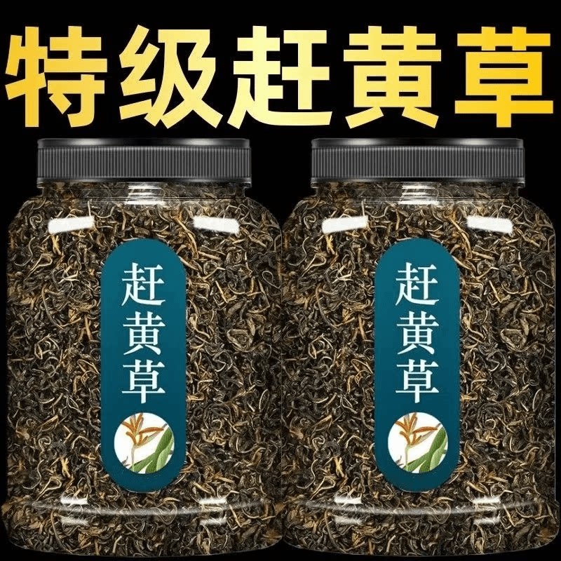 新品赶黄草新货2025嫩芽嫩叶四川赶黄草泡水 喝的新鲜赶黄草瓶装