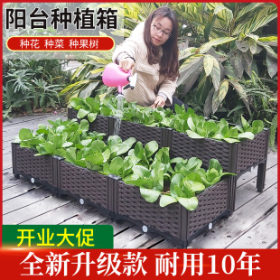 塑料花盆长方形种菜盆设备 家庭阳台露台蔬菜种植箱 花槽绿植果树
