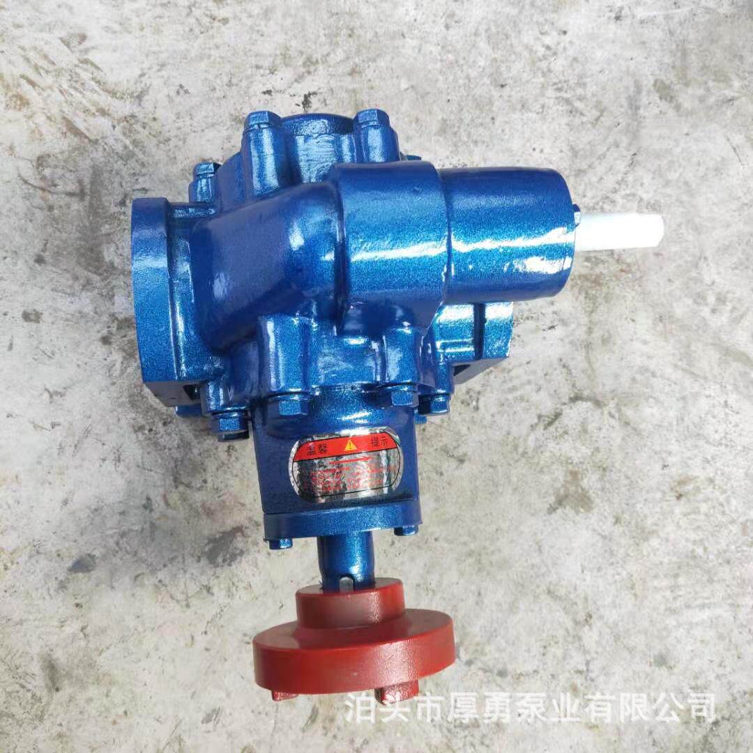 厂家供应机械密封齿轮泵200/300/633 电动齿轮泵化工泵转子泵